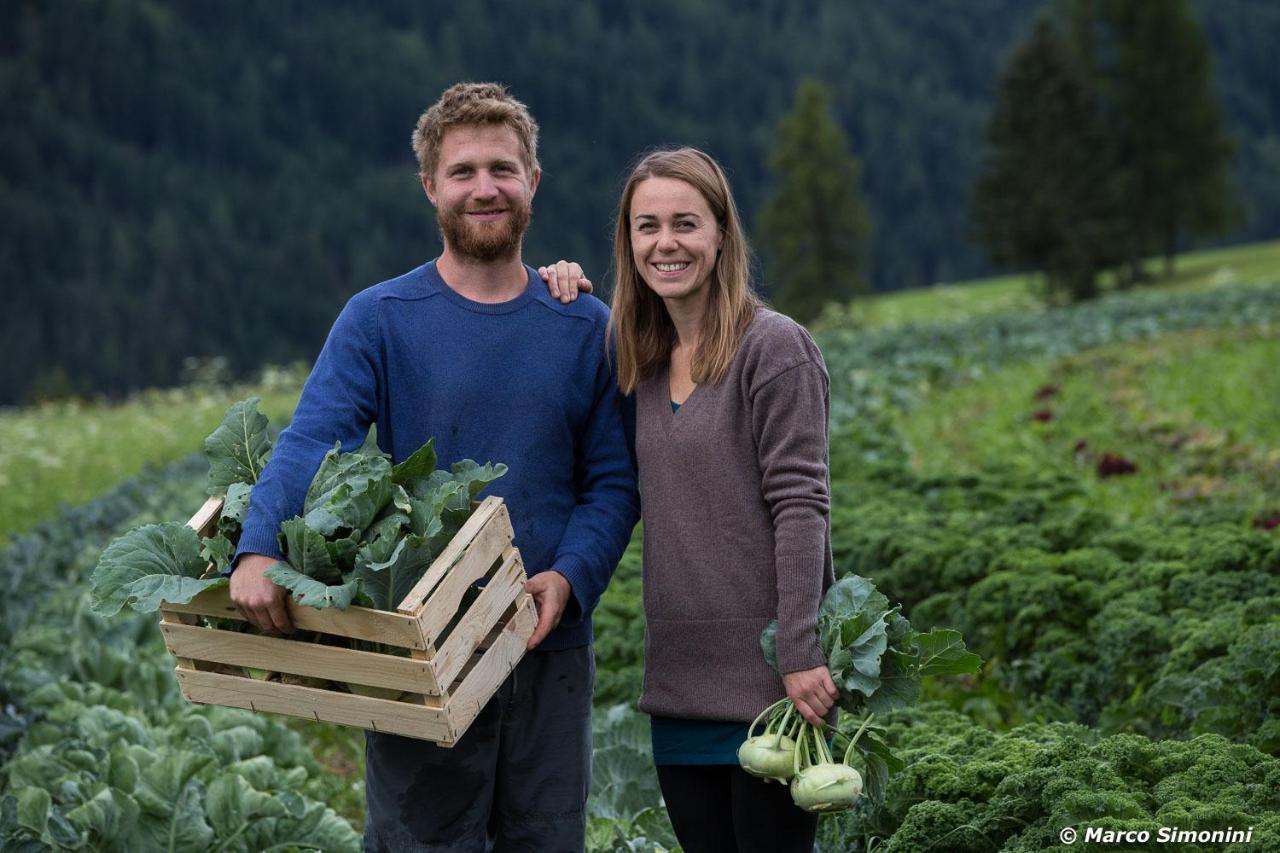 Agriturismo Soreie - Farmstay Vigo di Fassa Eksteriør billede